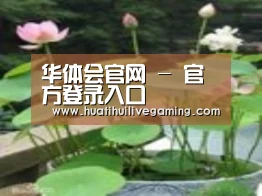 产品名称一