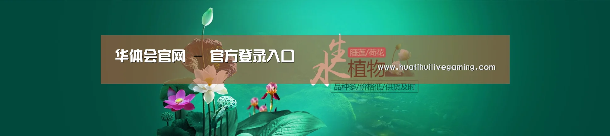 鲜花水草花卉网站模板