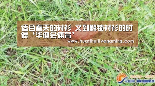 适合春天的衬衫 又到解锁衬衫的时候‘华体会体育’(图2) 华体会娱乐