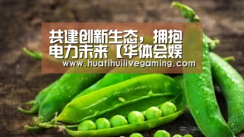 共建创新生态,拥抱电力未来【华体会娱乐】(图2) 华体会体育