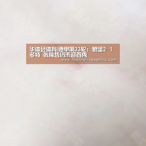 华体会体育|德甲第33轮：狼堡2-1多特 张稀哲仍未迎首秀
