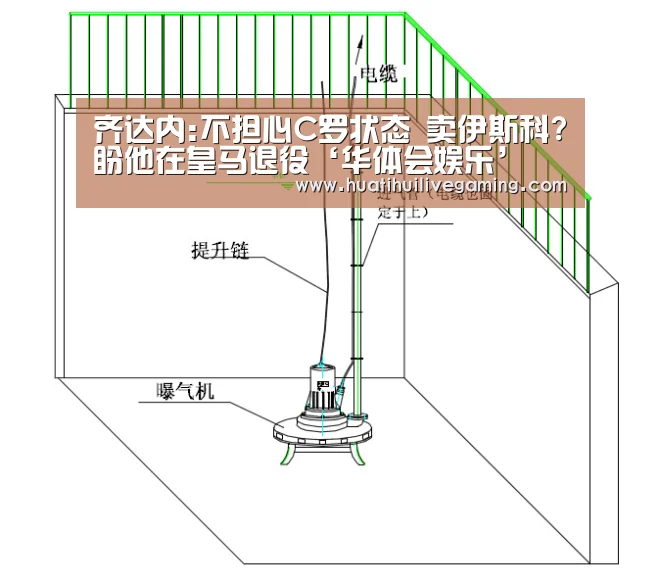 华体会体育